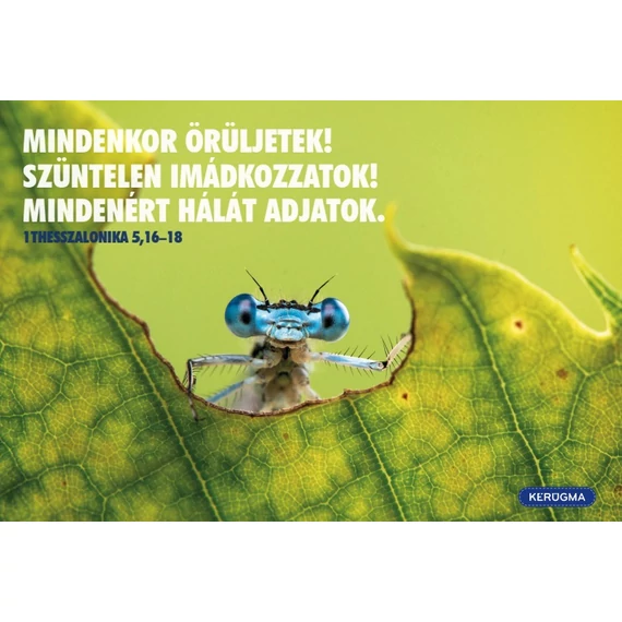 Mindenkor örüljetek – képeslap csomag (10 db)