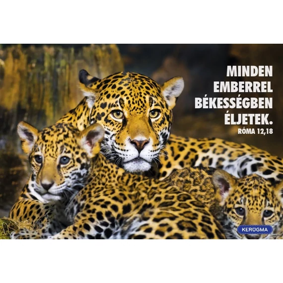 Minden emberrel – képeslap csomag (10 db)