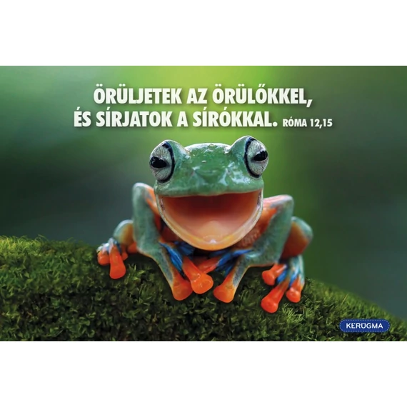 Örüljetek az örülőkkel – képeslap csomag (10 db)