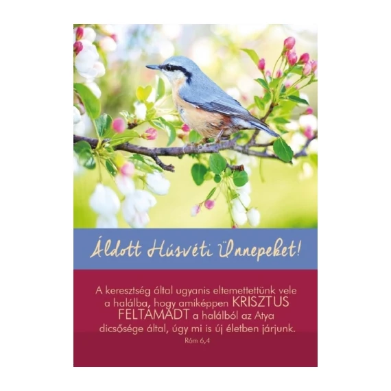 A keresztség által ugyanis - Madár - Húsvéti képeslap csomag