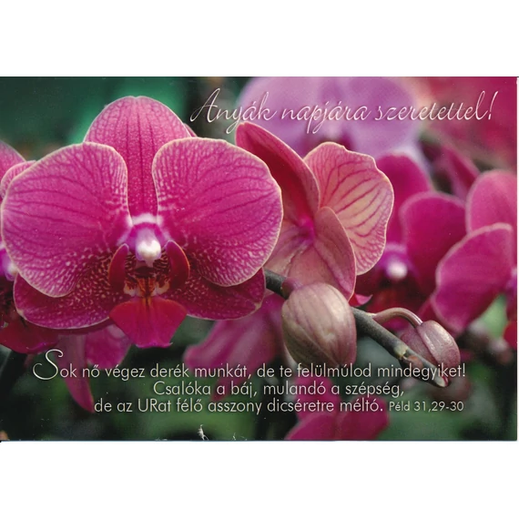 Sok nő végez derék munkát... (Anyák napja) – Képeslap csomag (KE-M2)
