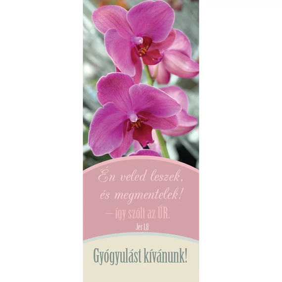 Gyógyulást kívánunk! – Könyvjelző csomag (KJ-I28)