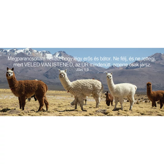 Megparancsoltam neked, hogy légy erős és bátor... – Könyvjelző csomag (KJ-K02)