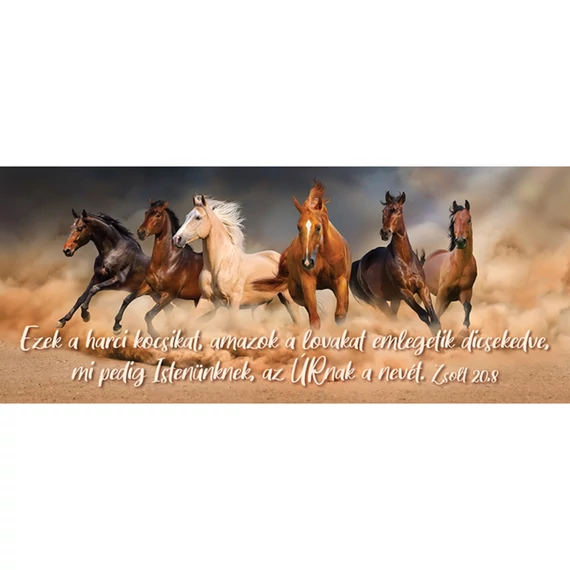 Ezek a harci kocsikat, amazok a lovakat emlegetik dicsekedve... – Könyvjelző csomag (KJ-K09)