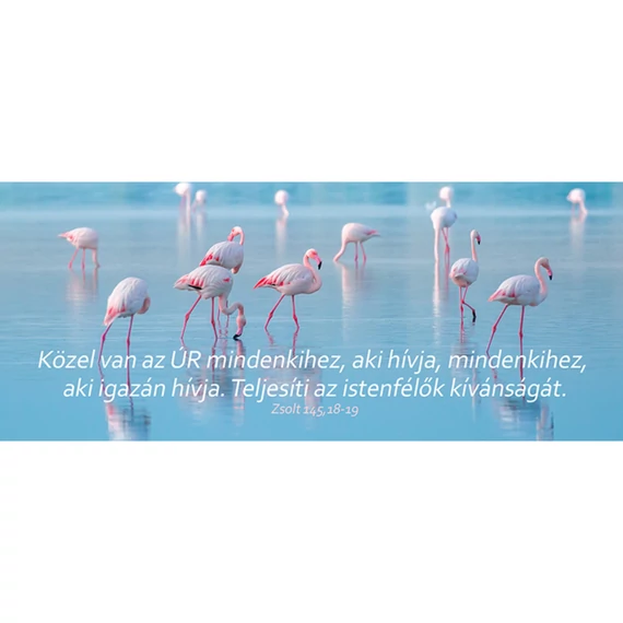 Közel van az Úr mindenkihez... – Könyvjelző csomag (KJ-K24)