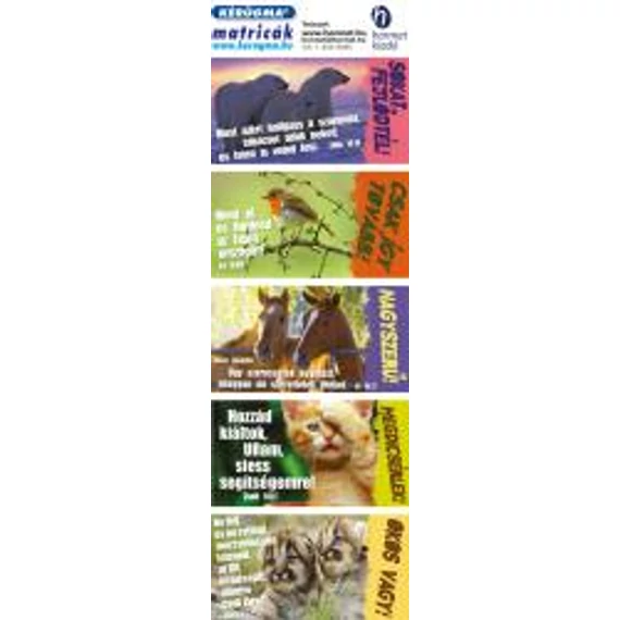 Matrica (1504) – Jegesmedve – Sokat fejlődtél!