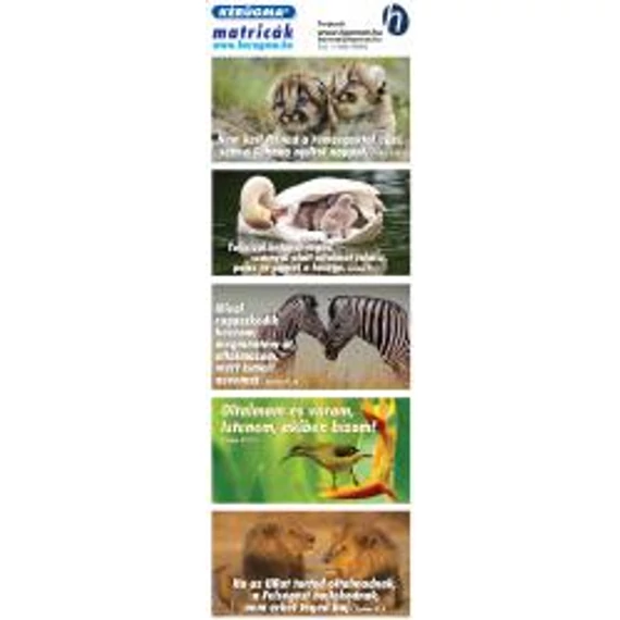 Matrica (1516) – Bébi gepárd – Nem kell félned a rémségektől...