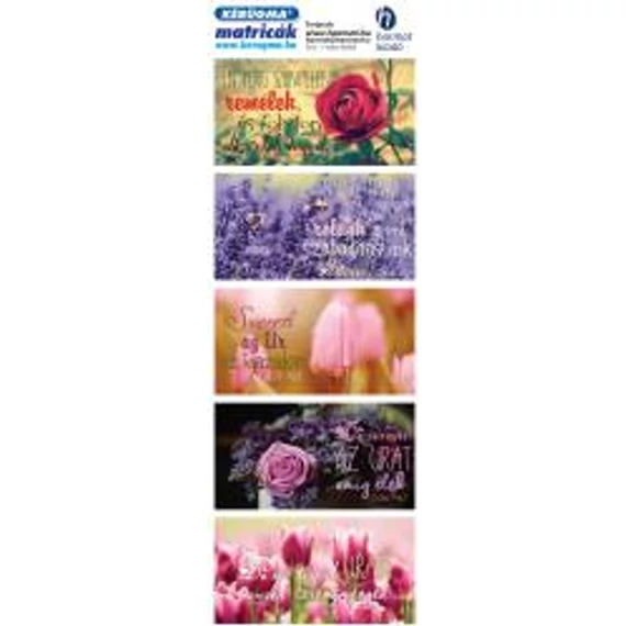 Matrica (1519) – Rózsa – Én pedig szüntelen remélek...