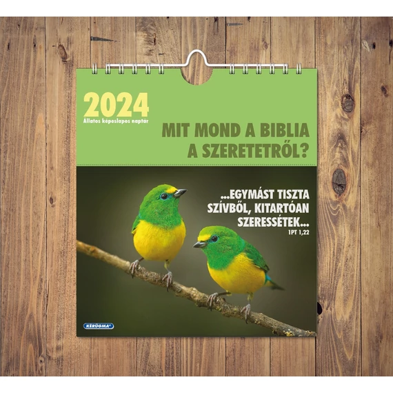 Falinaptár 2024 – képeslapos, spirál – Mit mond a Biblia a szeretetről?
