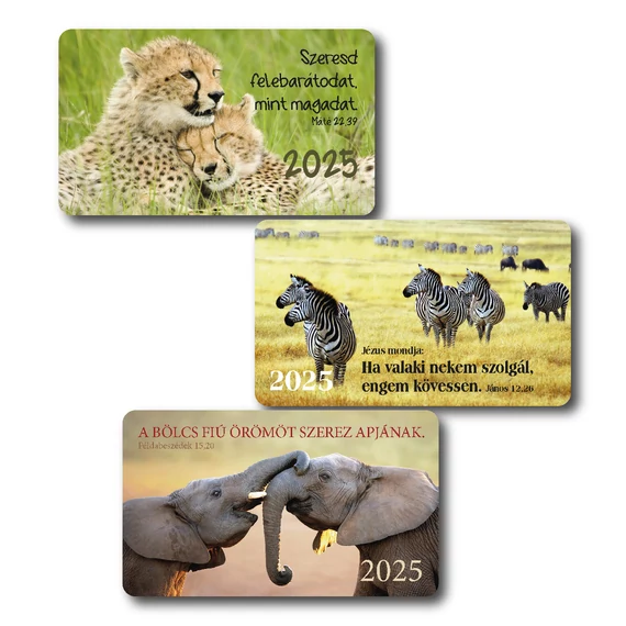 Kártyanaptár 2025 – vegyes csomag (30 db) – gepárd, zebra, elefánt
