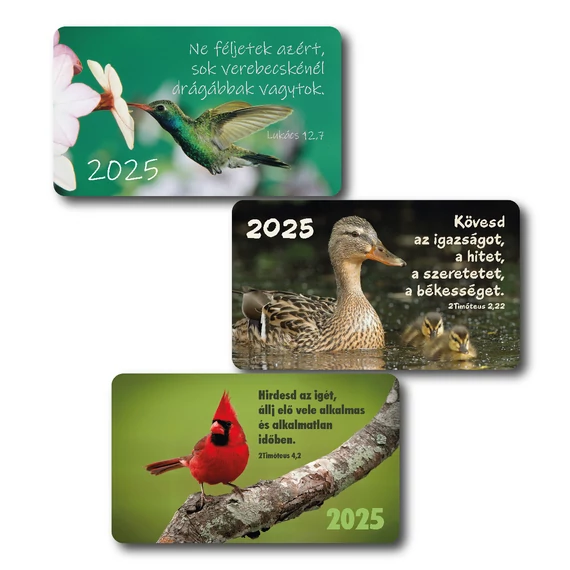 Kártyanaptár 2025 – vegyes csomag (30 db) – madaras