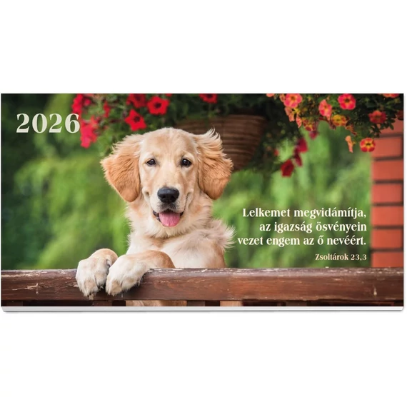 2026 Zsebnaptár – kutya