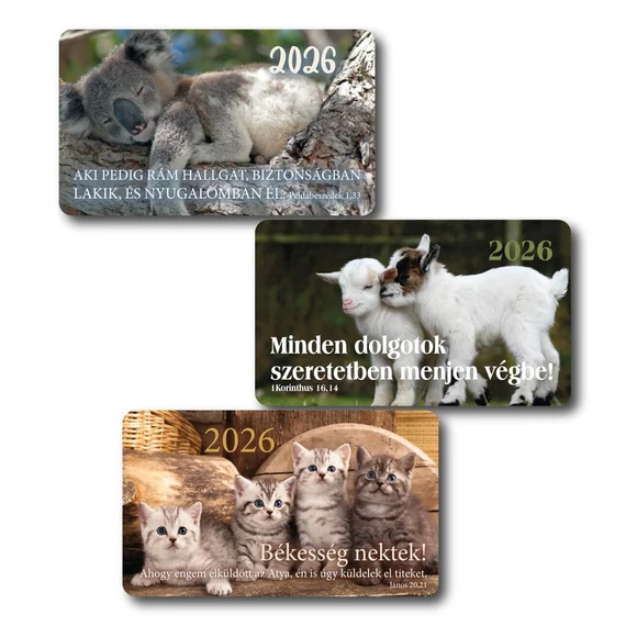 2026 Kártyanaptár csomag (3x10 db) – cica, kecske, koala