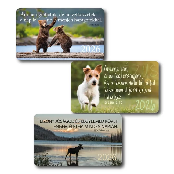 2026 Kártyanaptár csomag (3x10 db) – jávorszarvas, kutya, medve