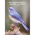 Kép 13/14 - Képeslapcsomag, vegyes (álló) – Jézus bátorító szavai – 14 db/csomag