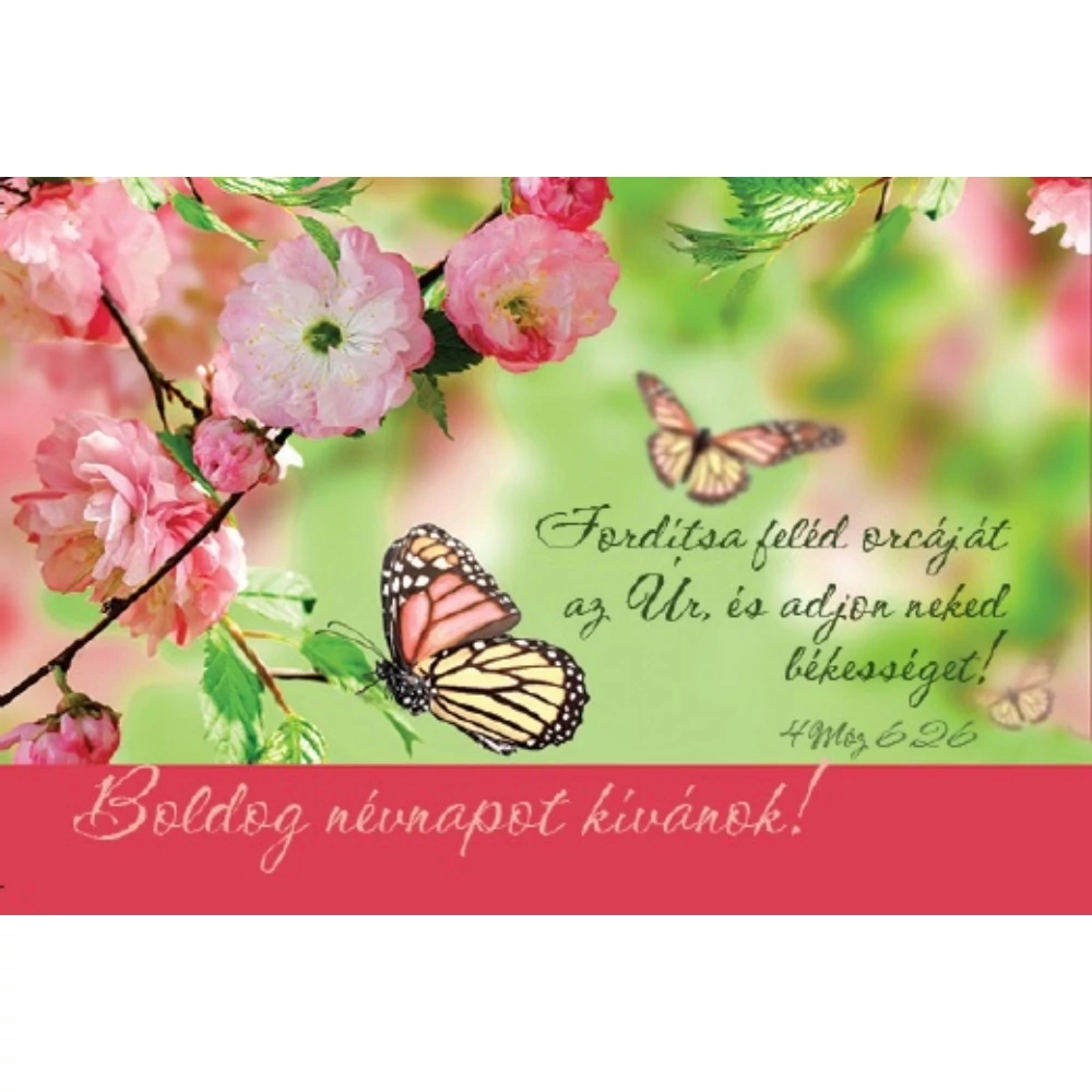 Fordítsa feléd orcáját az Úr... (névnap)  – Minikártya csomag (T31)