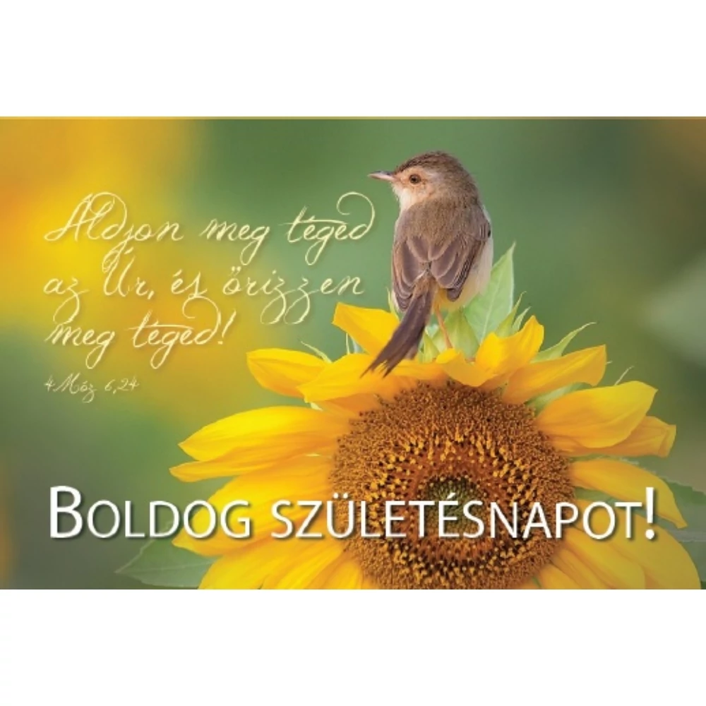 Áldjon meg téged az Úr... (születésnap) – Minikártya csomag (T47)