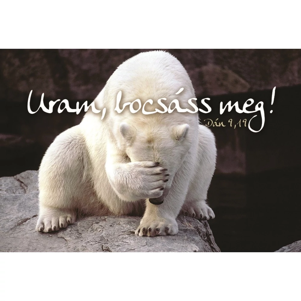 Uram, bocsáss meg! – Minikártya csomag (T73)