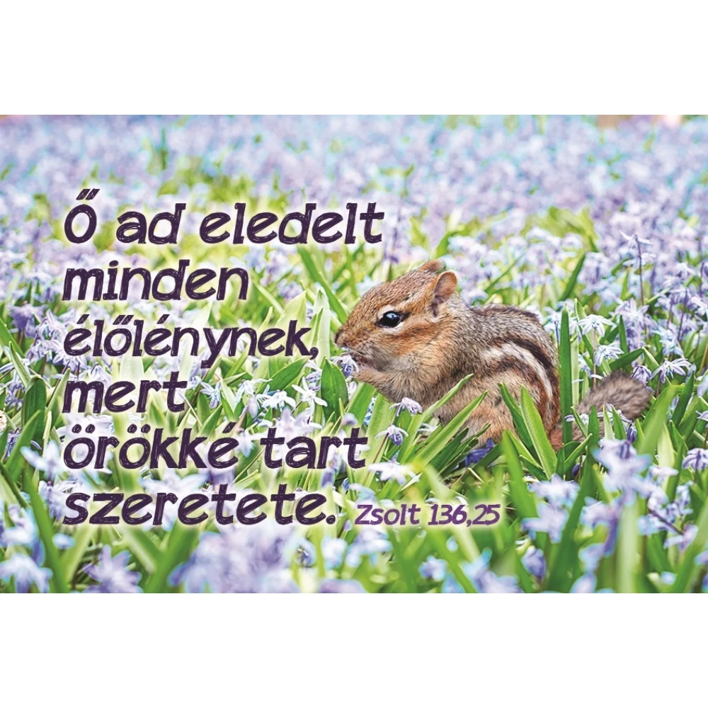 Ő ad eledelt... – Minikártya csomag (T77)