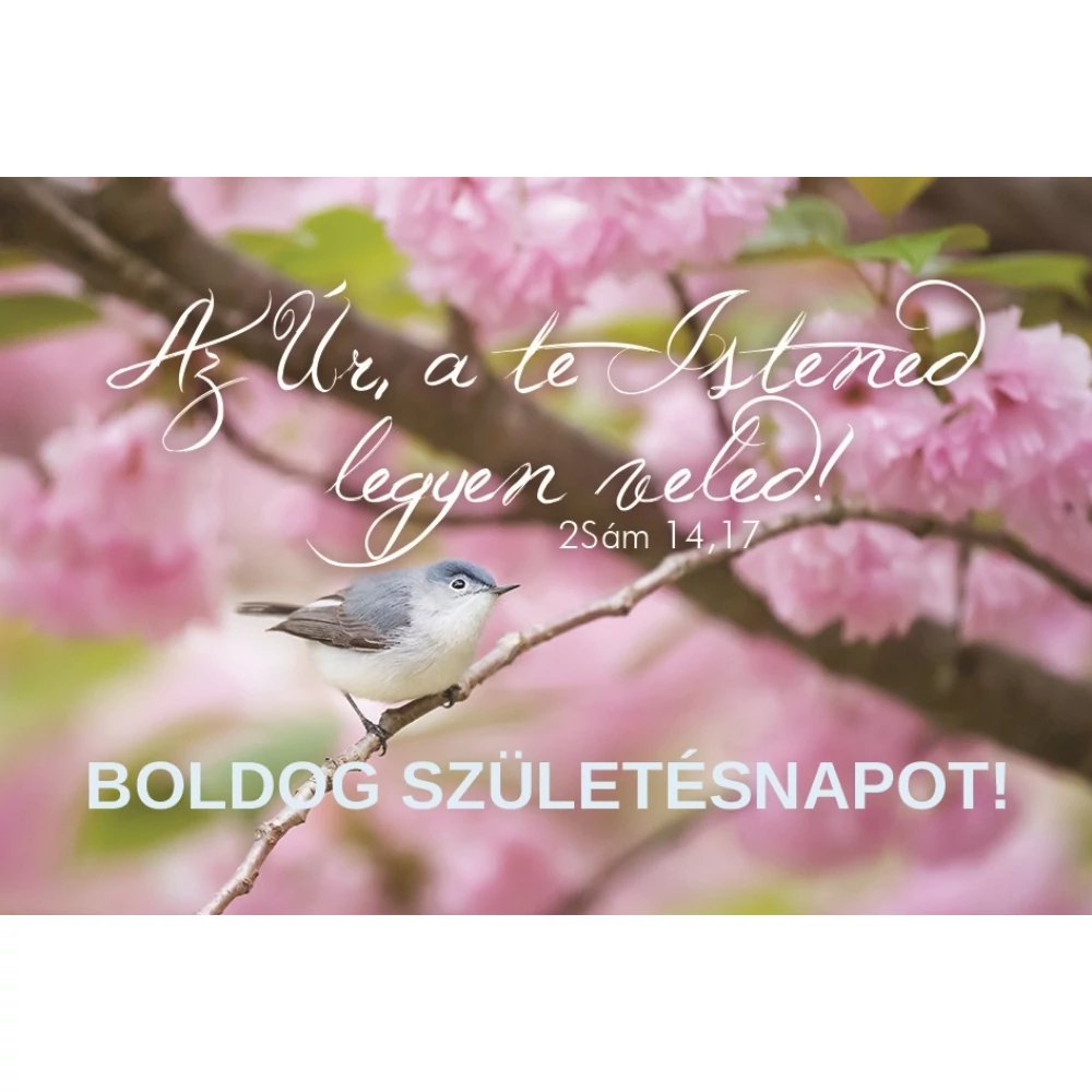 Az Úr, a te Istened legyen veled! (születésnap)  – Minikártya csomag (T82)