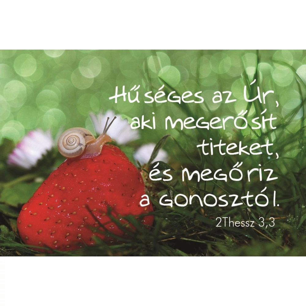 Hűséges az Úr, aki megerősít... – Minikártya csomag (T86)