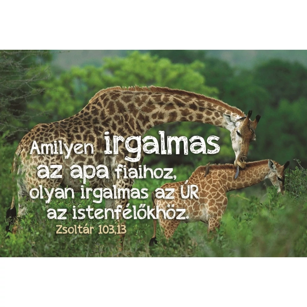 Amilyen irgalmas az apa fiaihoz... – Minikártya csomag (T88)