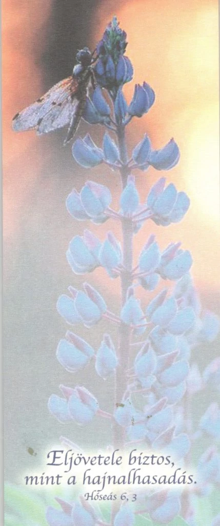 Eljövetele biztos, mint a hajnalhasadás – Jegyzettömb, kicsi