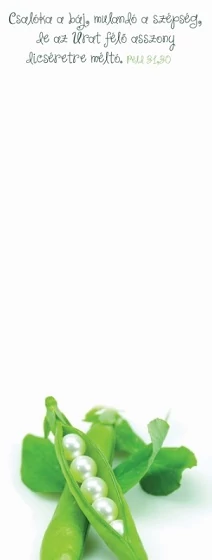 Csalóka a báj, mulandó a szépség... – Jegyzettömb, kicsi