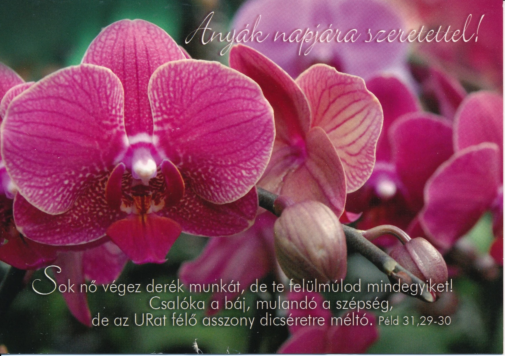 Sok nő végez derék munkát... (Anyák napja) – Képeslap csomag (KE-M2)