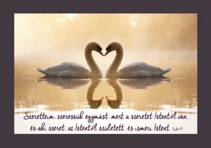 Szeretteim, szeressük egymást... – Képeslap csomag (KE-T10)