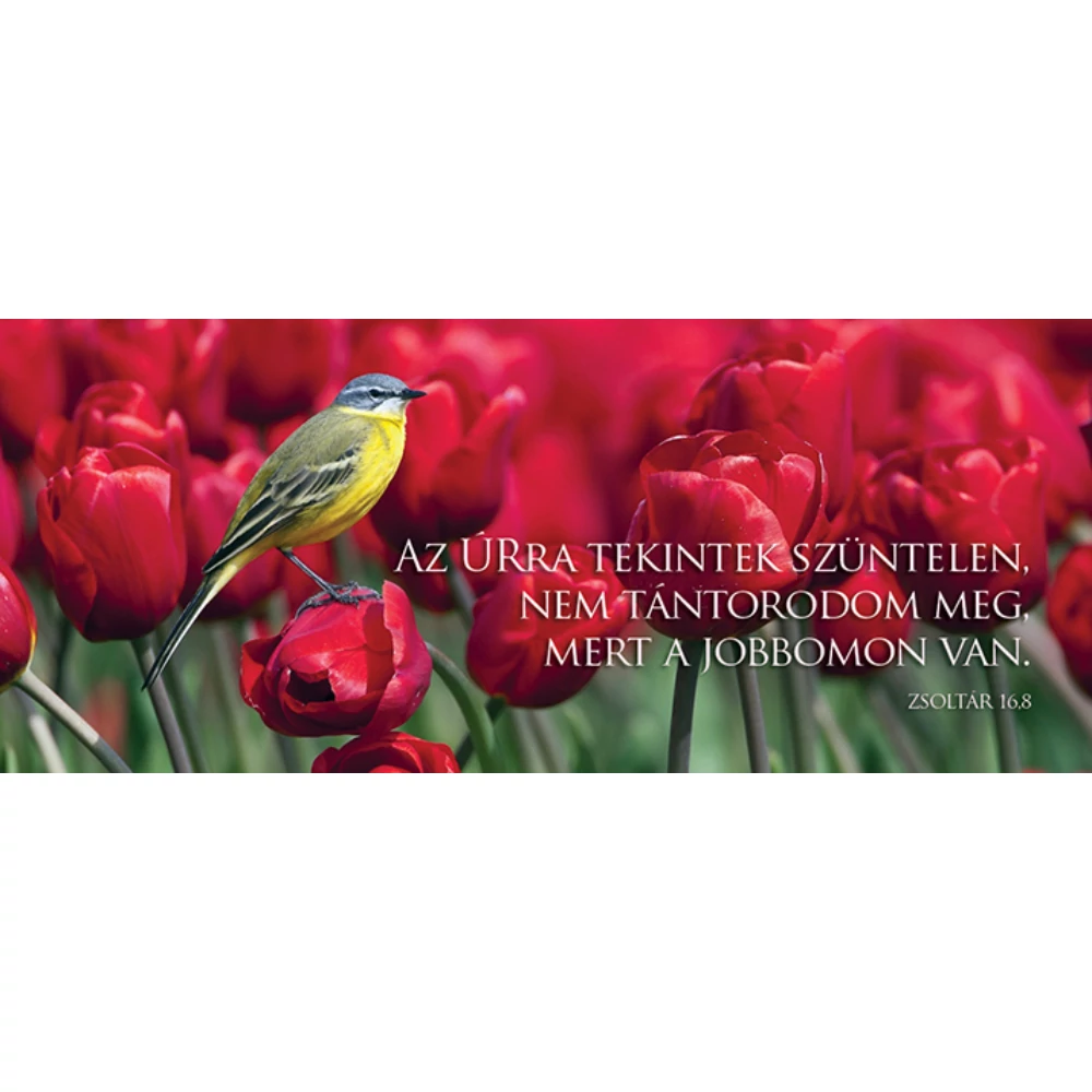 Az Úrra tekintek szüntelen... – Könyvjelző csomag (KJ-K01)