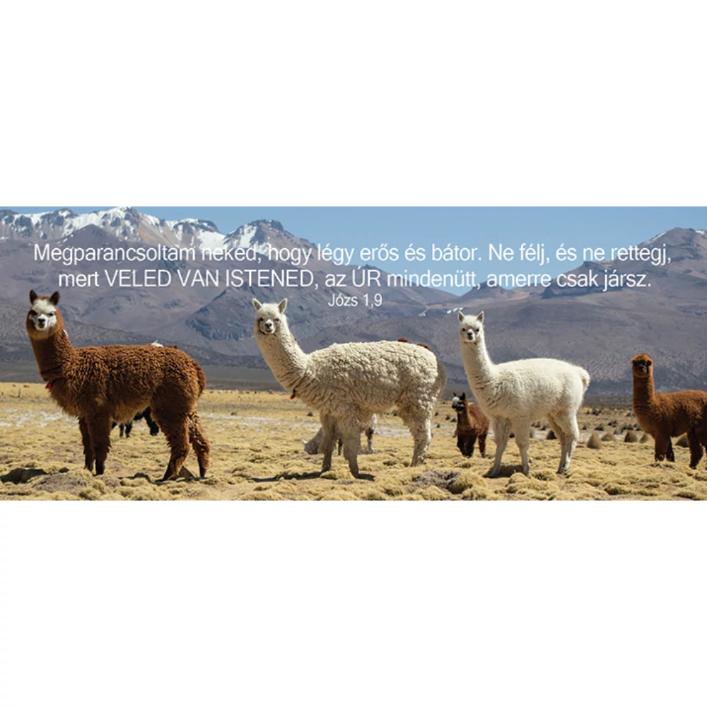 Megparancsoltam neked, hogy légy erős és bátor... – Könyvjelző csomag (KJ-K02)