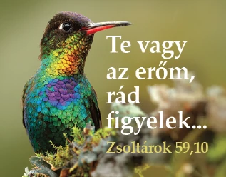 Te vagy az erőm, rád figyelek... – Kulcstartó