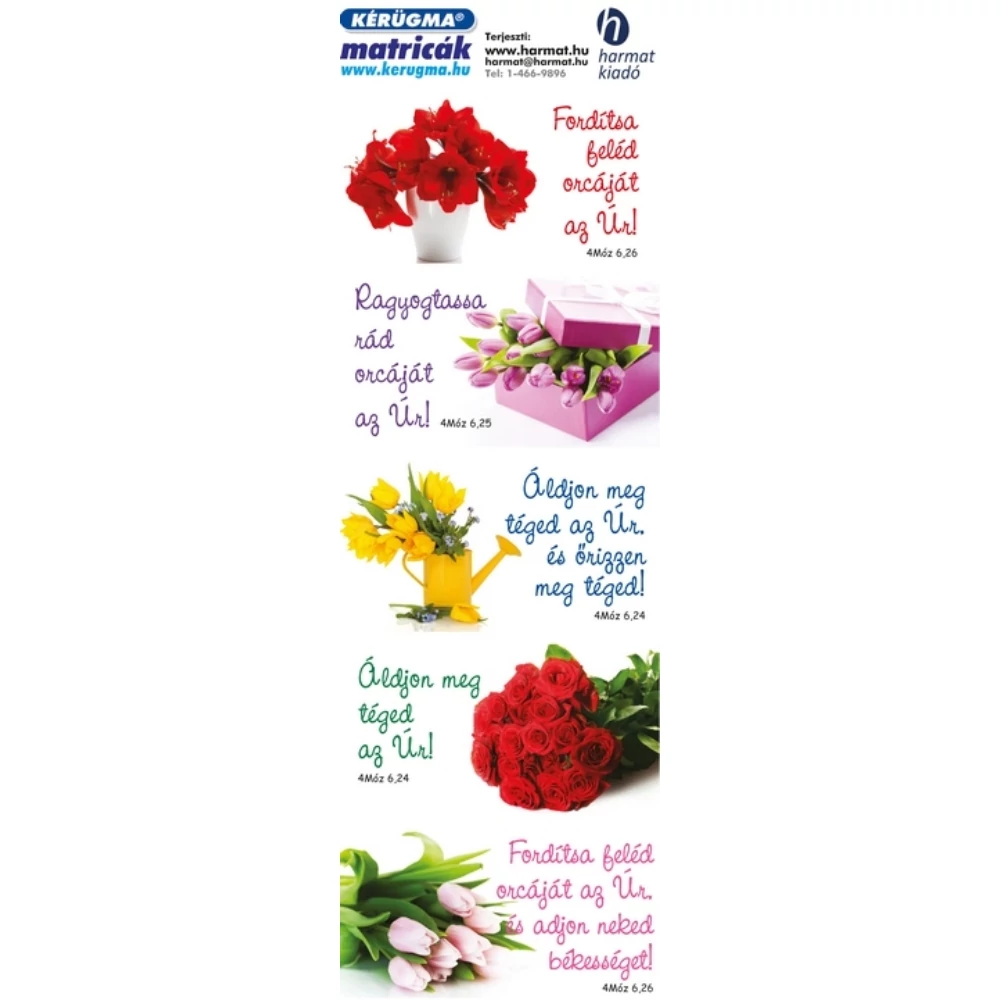 Matrica (1515) – Liliom – Fordítsa feléd orcáját az Úr!