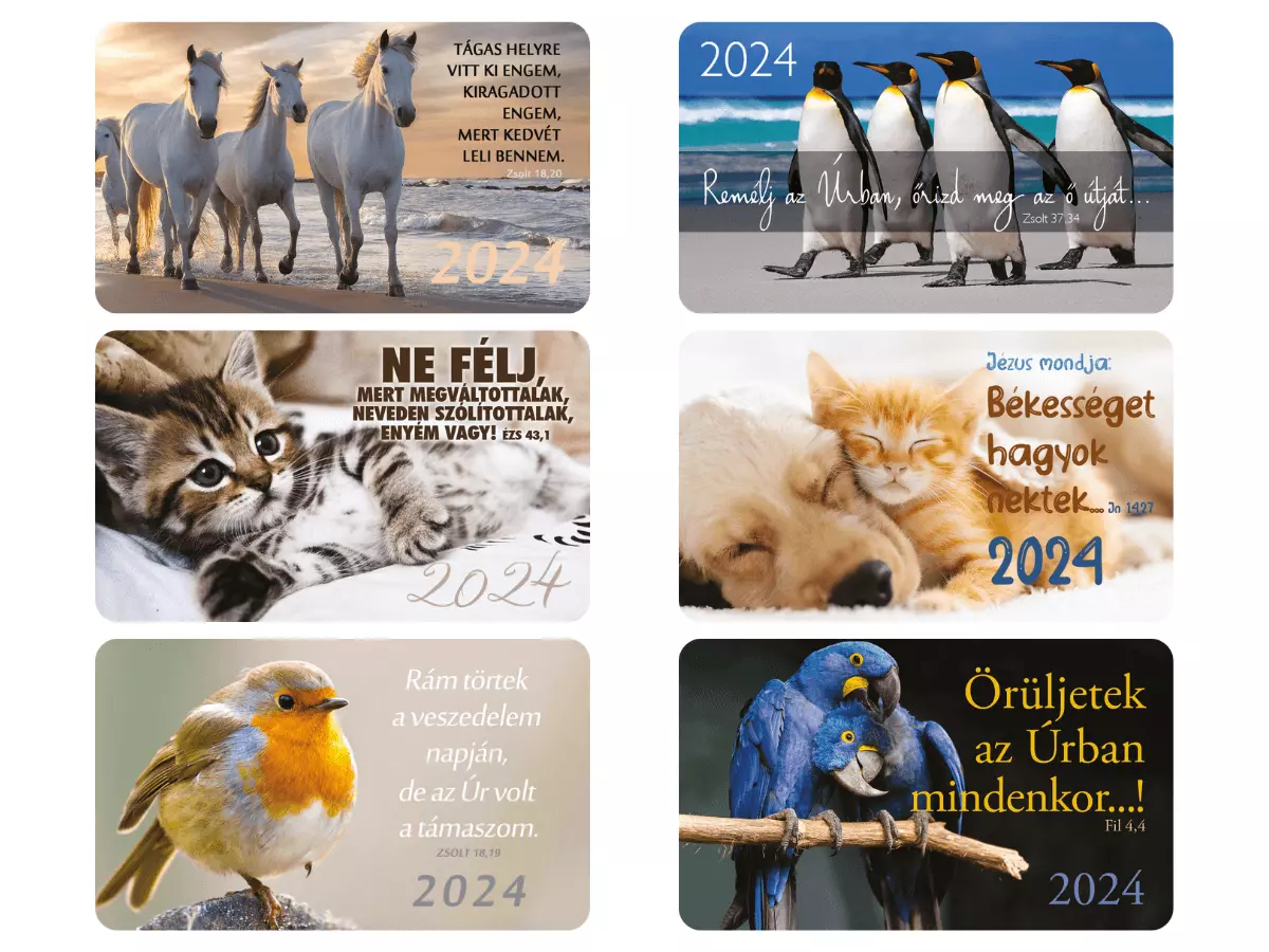 Kártyanaptár 2024 – vegyes csomag 5  – állatok