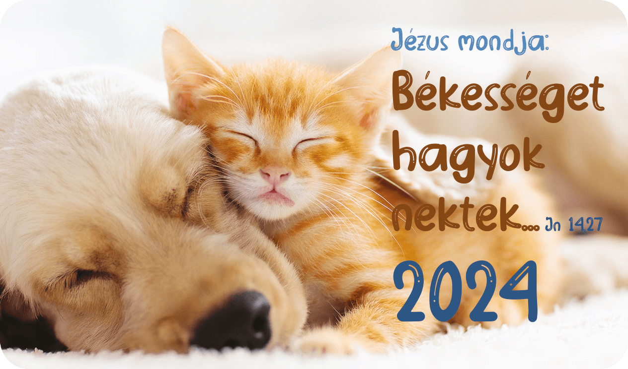 Kártyanaptár csomag 2024 (26) – Békességet hagyok nektek... (kutya-macska)