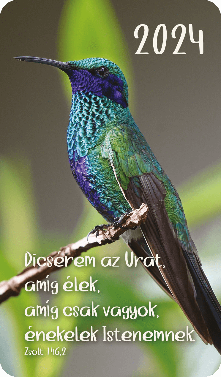Kártyanaptárcsomag  2024 (29) – Dicsérem az Urat, amíg élek... (kolibri)
