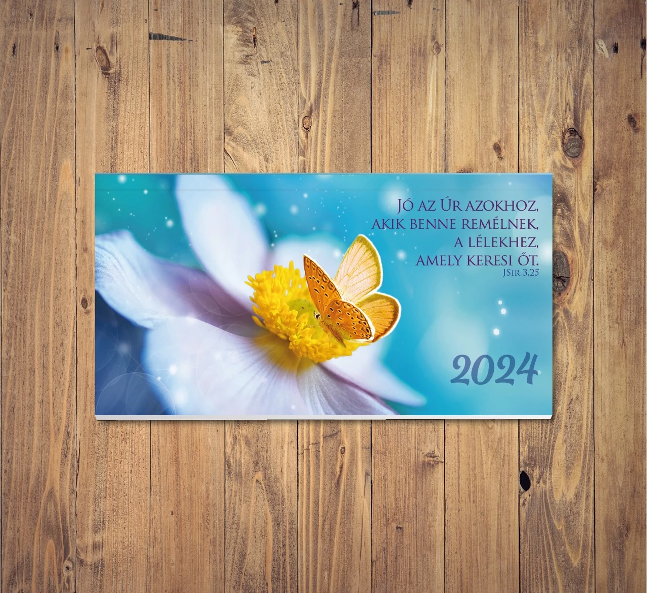 Zsebnaptár 2024 – lepke