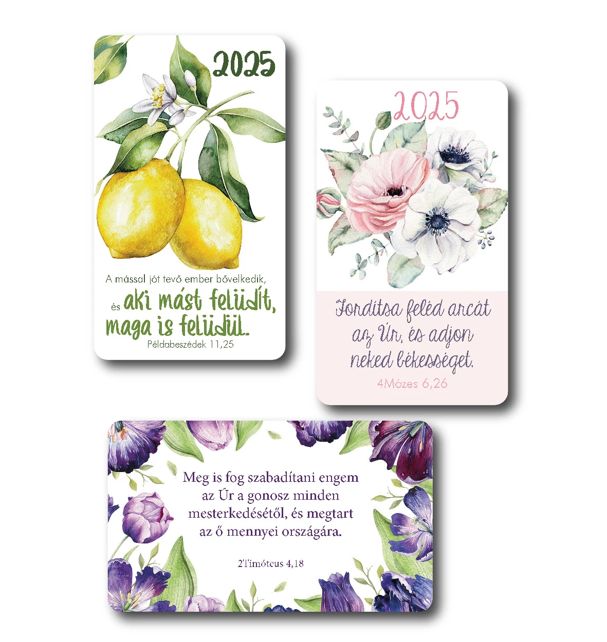 Kártyanaptár 2025 – vegyes csomag (30 db) – virágos grafikák