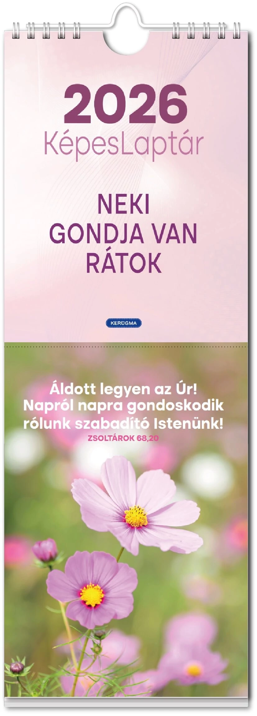 2026 Falinaptár – álló képeslapos, spirál, állat-növény – Neki gondja van rátok