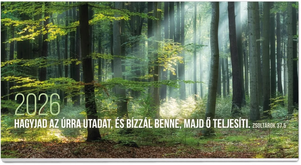 2026 Zsebnaptár – erdő