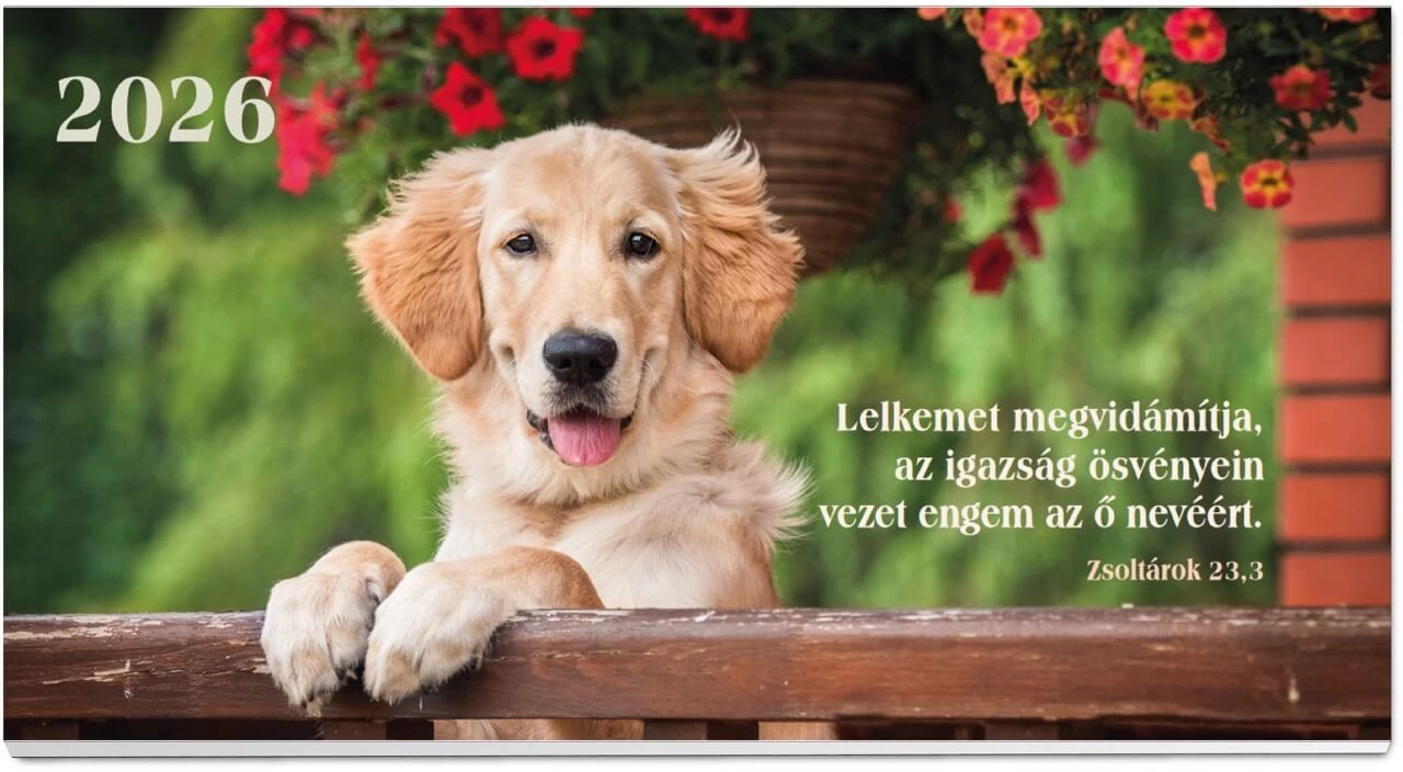 2026 Zsebnaptár – kutya