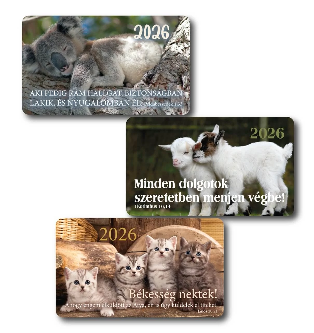 2026 Kártyanaptár csomag (3x10 db) – cica, kecske, koala