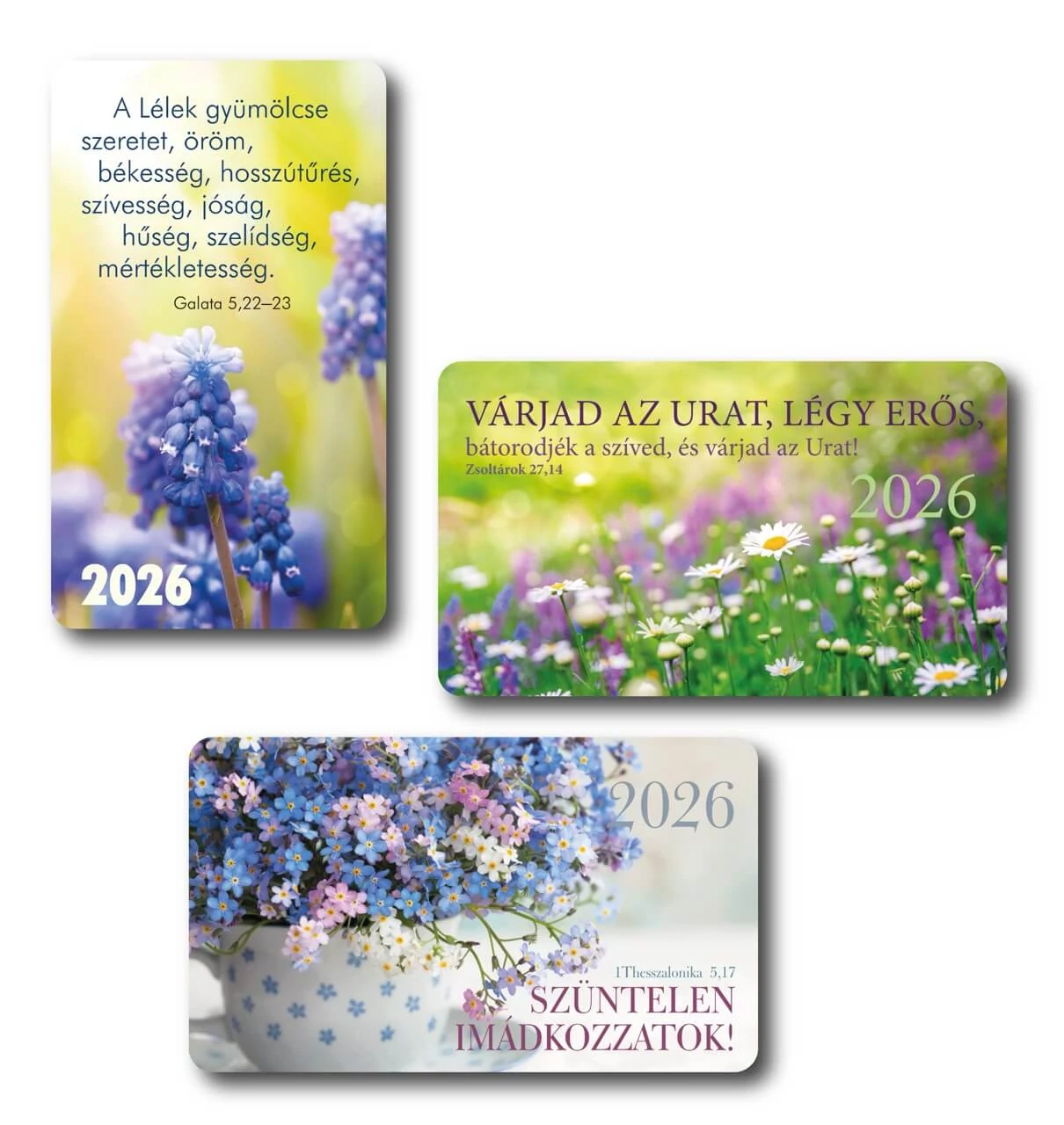 2026 Kártyanaptár csomag (3x10 db) – nefelejcs, maragaréta, gyöngyike